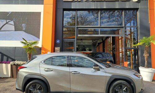 Lexus UX 250h 2.0 Business de ocasión en Dimasu