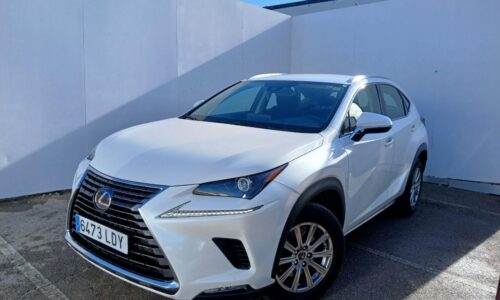 Lexus NX 300h 2.5 Business Navigation 2WD de ocasión en Dimasu