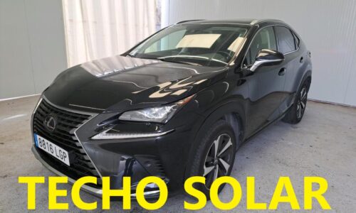 Lexus NX 2.5 300h Luxury 4WD de ocasión en Dimasu